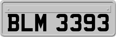 BLM3393