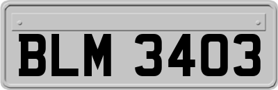 BLM3403