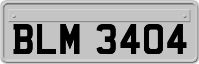 BLM3404