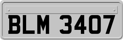 BLM3407