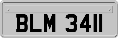 BLM3411
