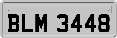 BLM3448
