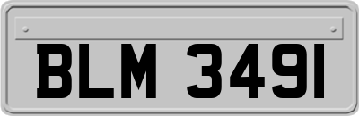 BLM3491