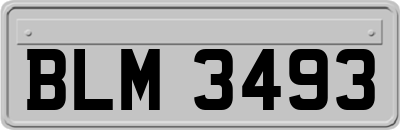 BLM3493