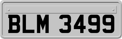 BLM3499