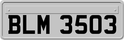 BLM3503