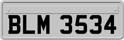 BLM3534