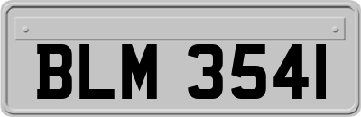 BLM3541