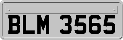 BLM3565
