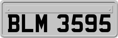 BLM3595
