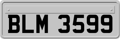 BLM3599