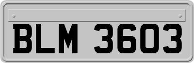 BLM3603