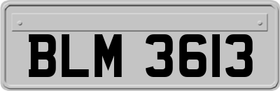 BLM3613