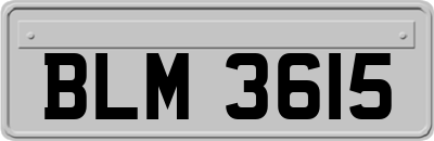 BLM3615