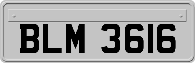 BLM3616