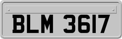 BLM3617