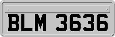 BLM3636