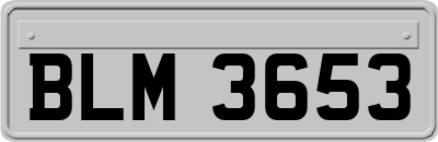 BLM3653