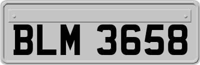 BLM3658