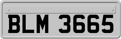 BLM3665