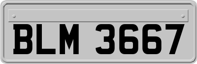 BLM3667