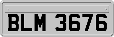 BLM3676