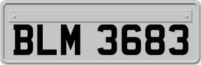 BLM3683