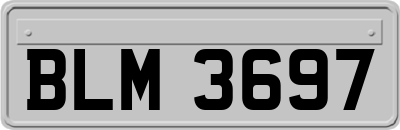 BLM3697