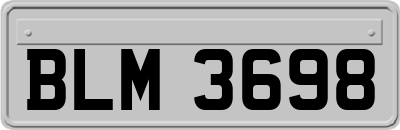 BLM3698