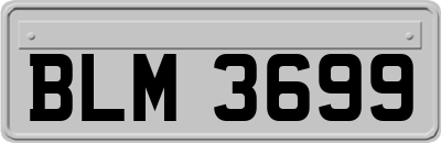BLM3699