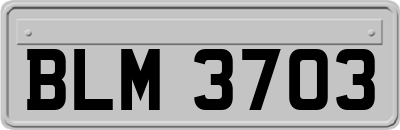 BLM3703