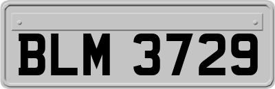 BLM3729