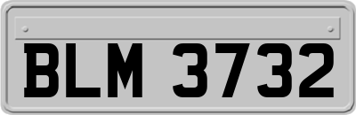 BLM3732