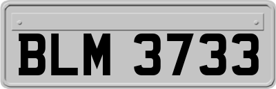BLM3733