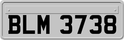 BLM3738