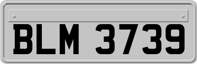 BLM3739
