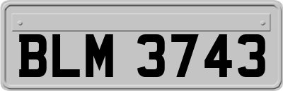 BLM3743