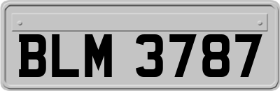 BLM3787