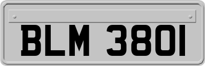 BLM3801