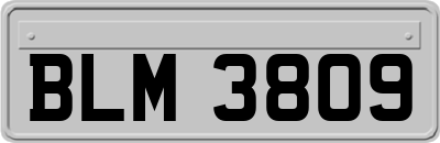 BLM3809