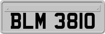 BLM3810
