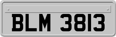 BLM3813