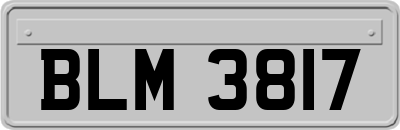 BLM3817