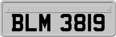 BLM3819