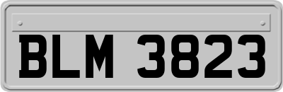 BLM3823