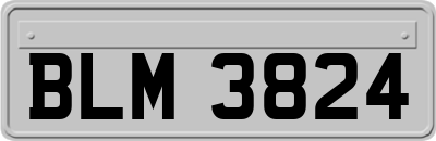 BLM3824