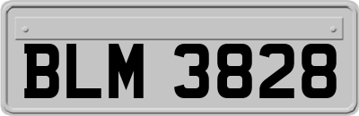 BLM3828