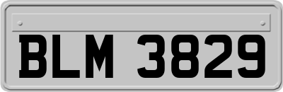BLM3829