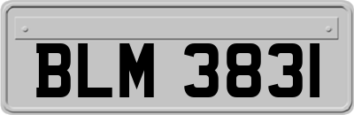 BLM3831