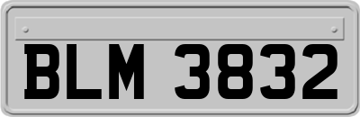 BLM3832